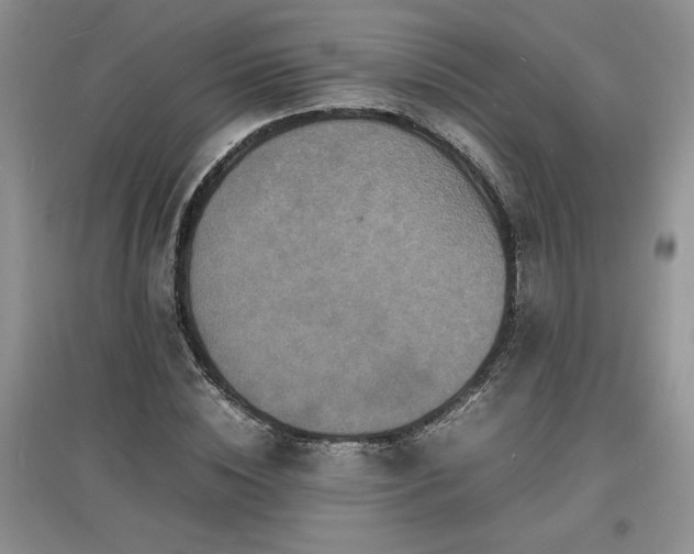 X0000097620828200803071508