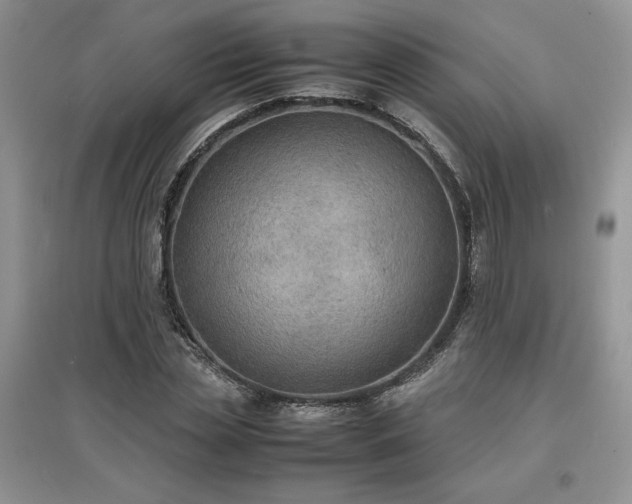 X0000097620829200803071508