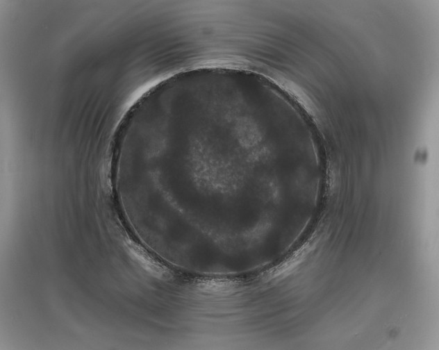 X0000097620830200803071508