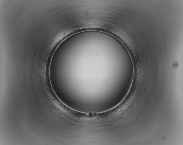 X0000097620834200803071508
