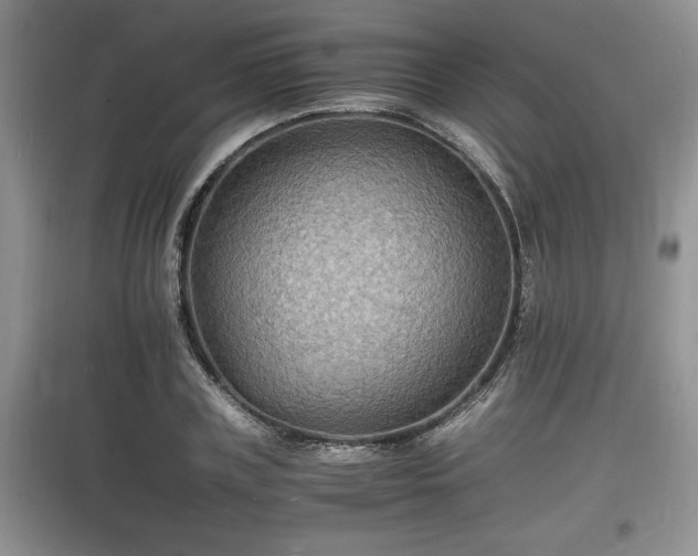 X0000097620835200803071508