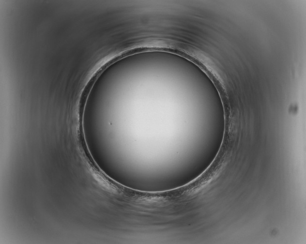 X0000097620837200803071508