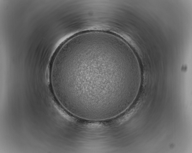 X0000097620838200803071508