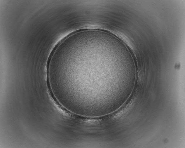 X0000097620839200803071508