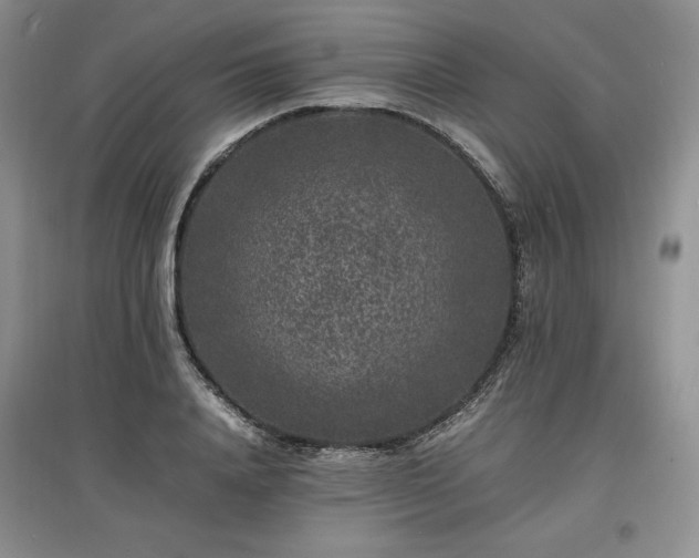 X0000097620840200803071508