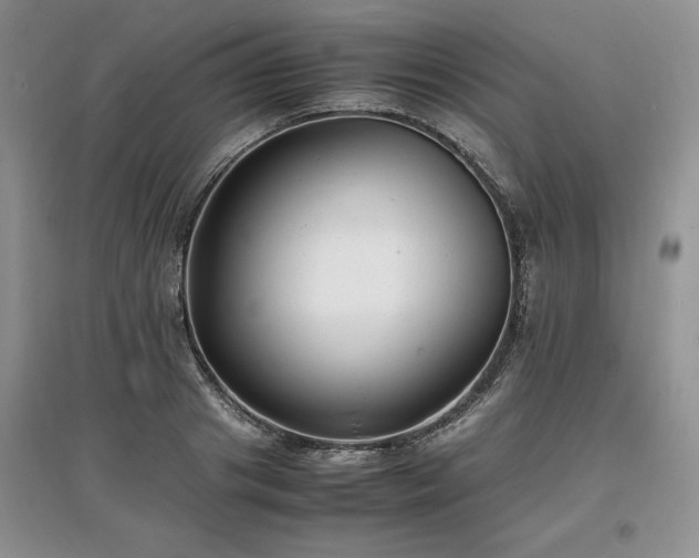 X0000097620841200803071508