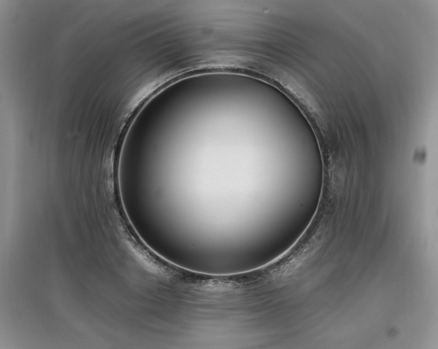 X0000097620842200803071508
