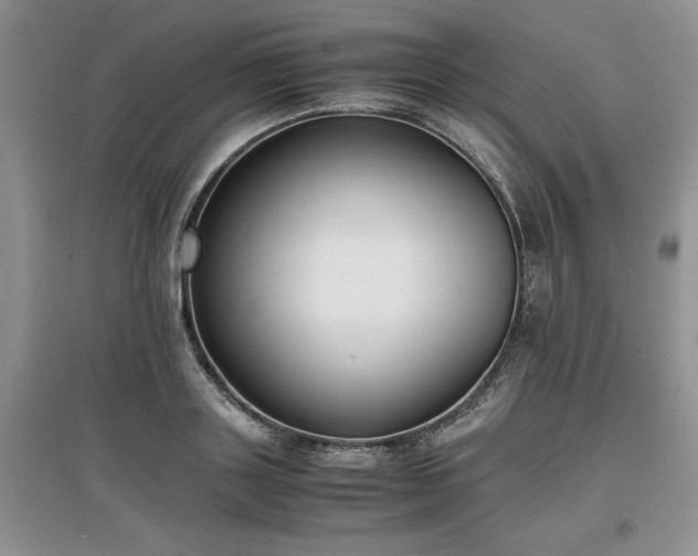 X0000097620843200803071508