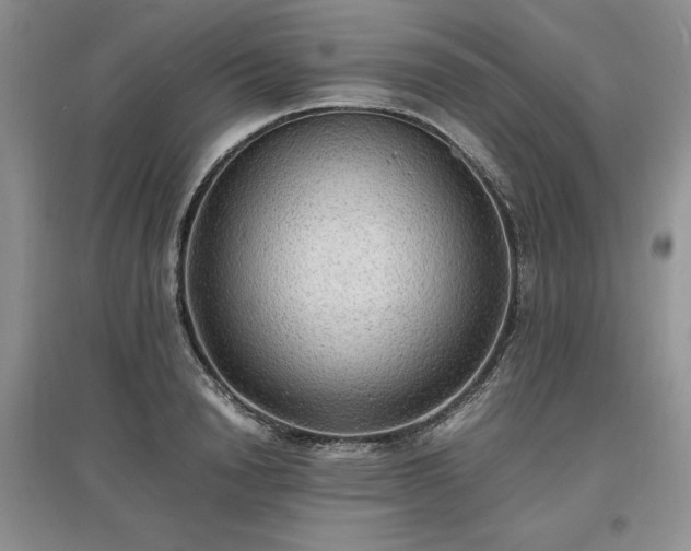 X0000097620846200803071508