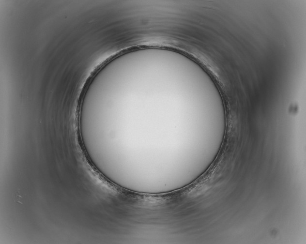 X0000097620848200803071508