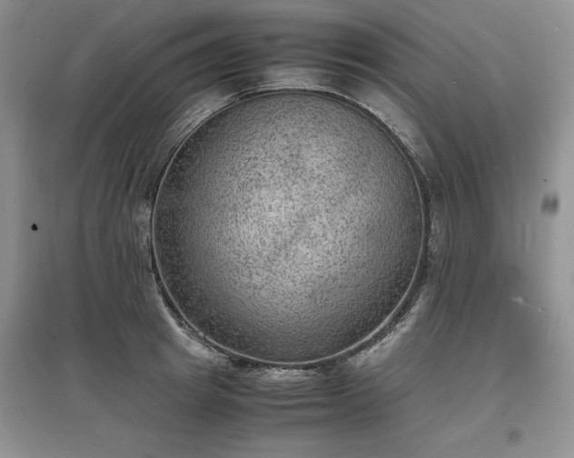 X0000097620849200803071508