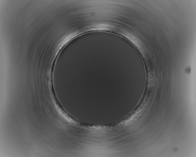 X0000097620850200803071508