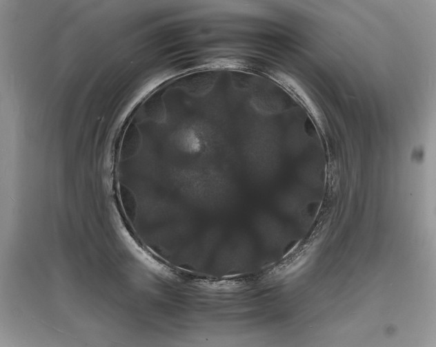 X0000097620851200803071508