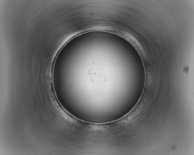X0000097620852200803071508