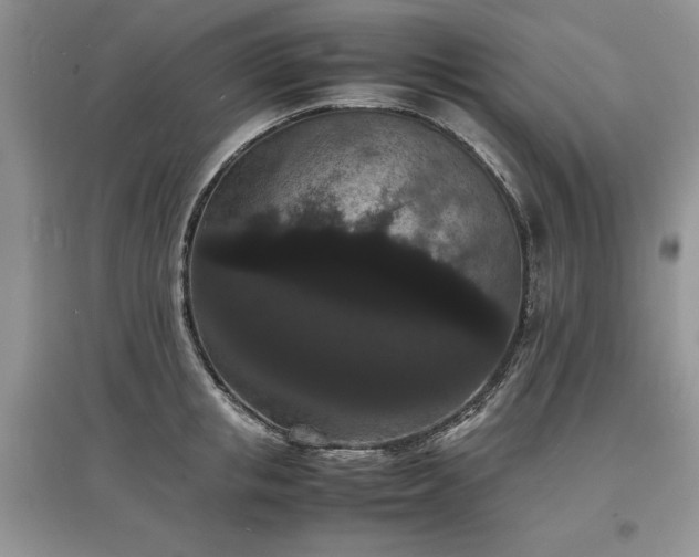 X0000097620853200803071508