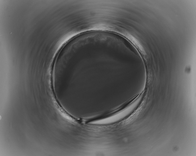 X0000097620854200803071508