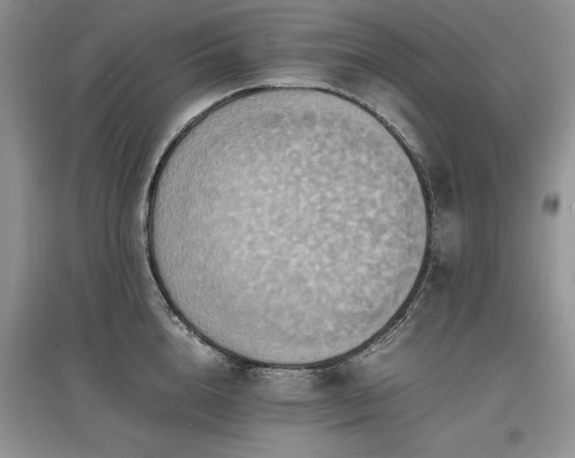 X0000097620856200803071508