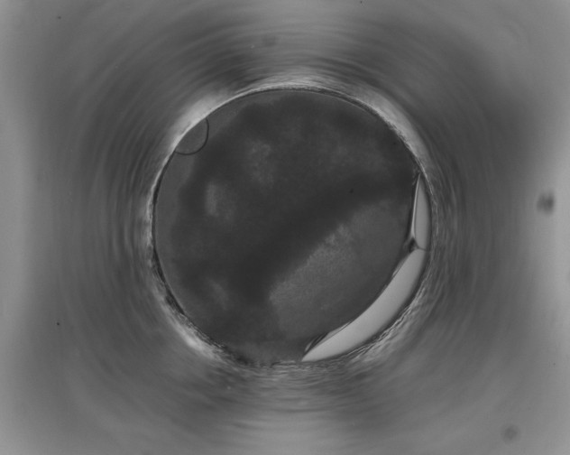 X0000097620858200803071509