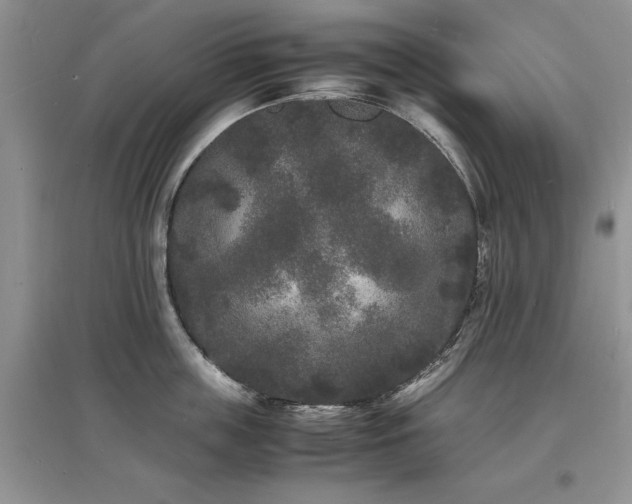 X0000097620859200803071509