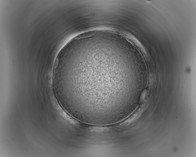 X0000097620860200803071509