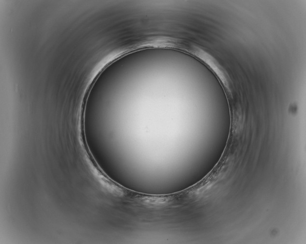 X0000097620861200803071509