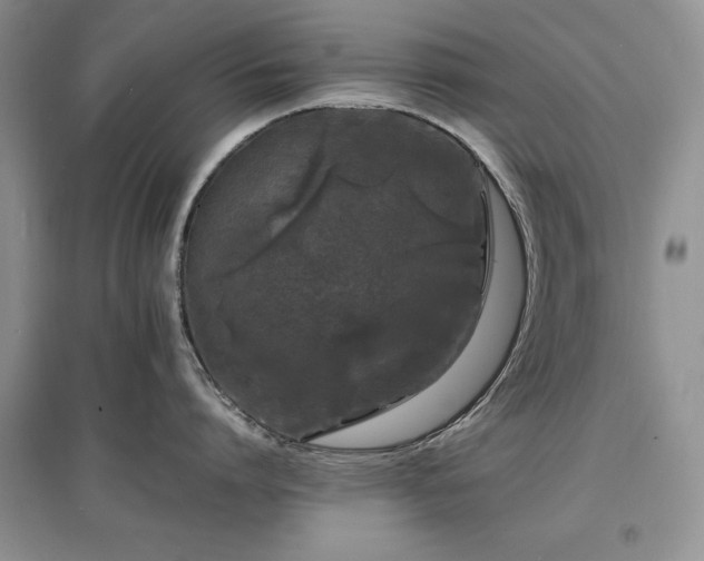 X0000097620864200803071509