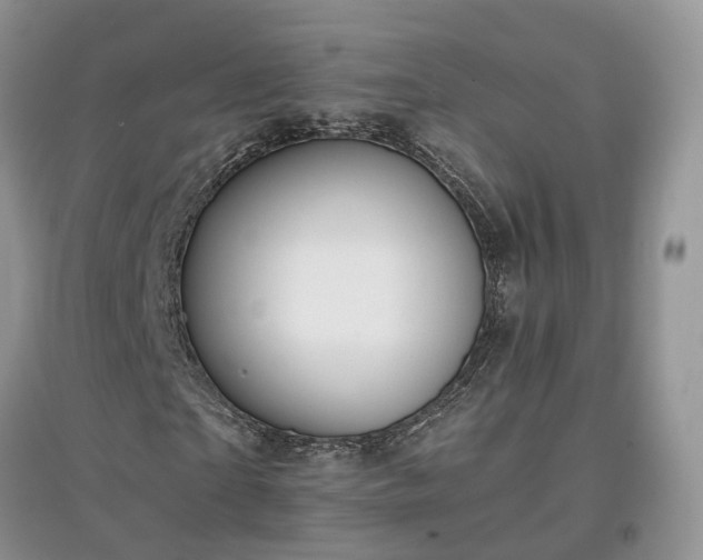 X0000097620865200803071508