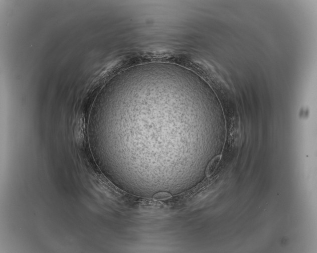 X0000097620866200803071508