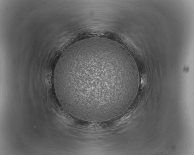 X0000097620867200803071508