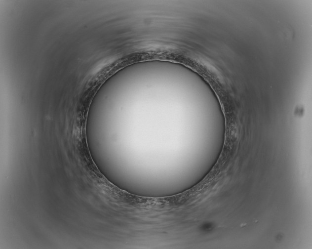 X0000097620869200803071508