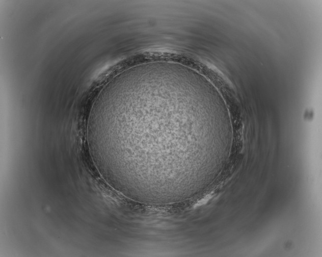 X0000097620870200803071508