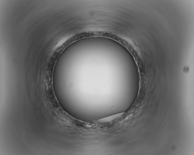 X0000097620871200803071508