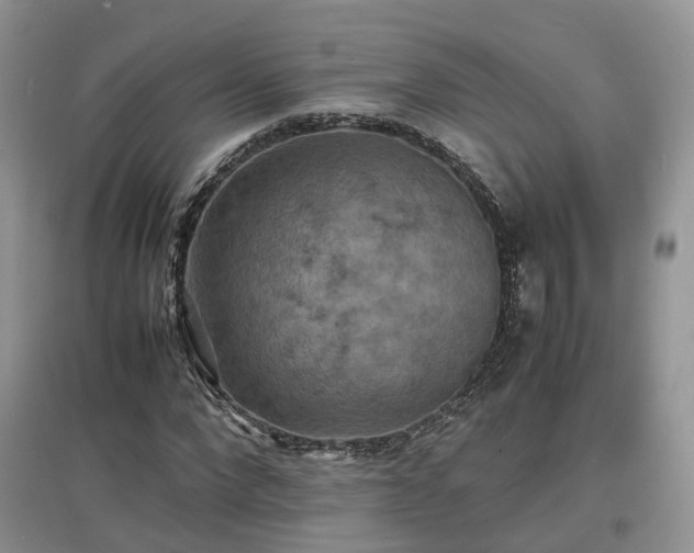 X0000097620872200803071508
