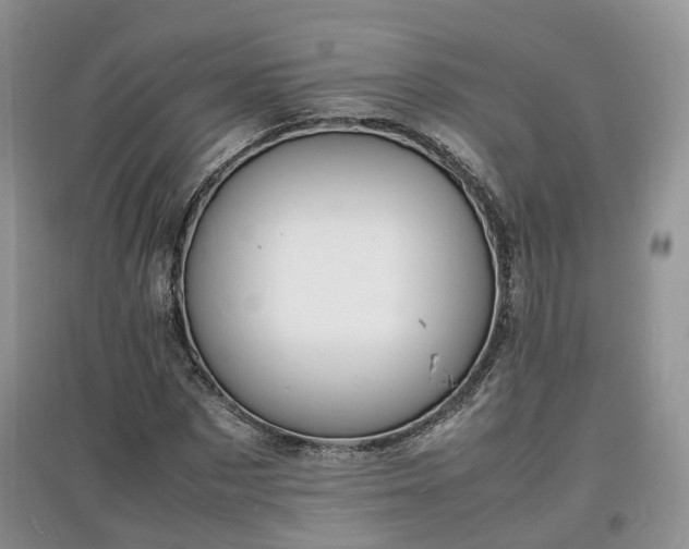 X0000097620873200803071508