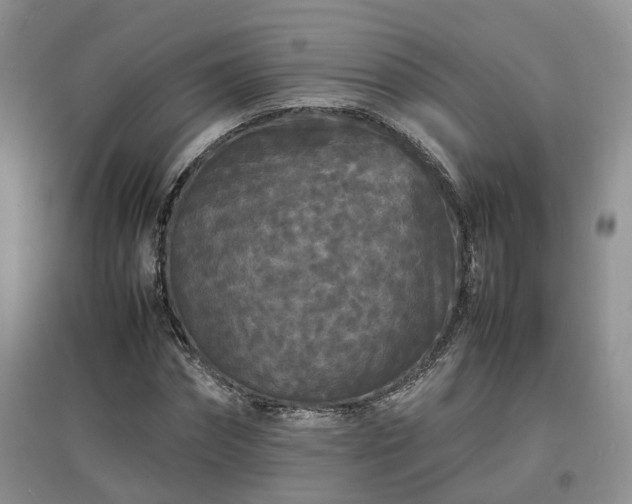 X0000097620874200803071508