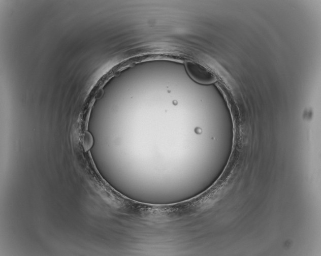 X0000097620875200803071508