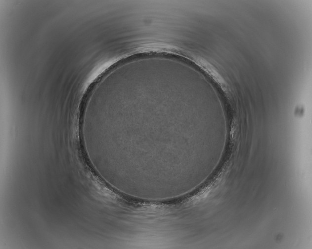 X0000097620877200803071508