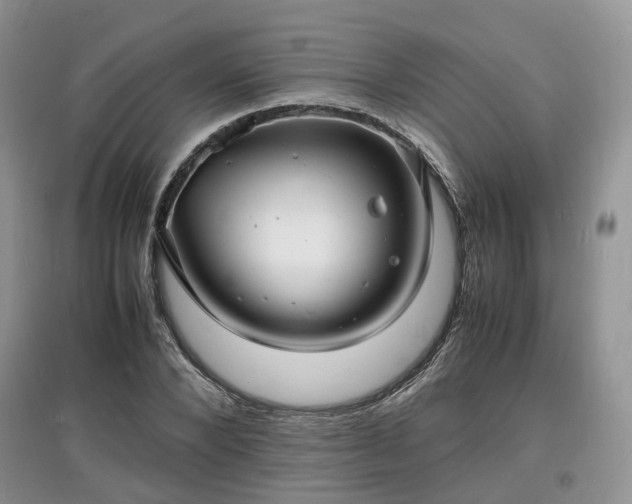 X0000097620880200803071508