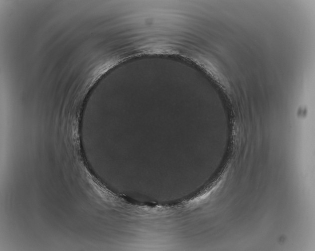 X0000097620881200803071508