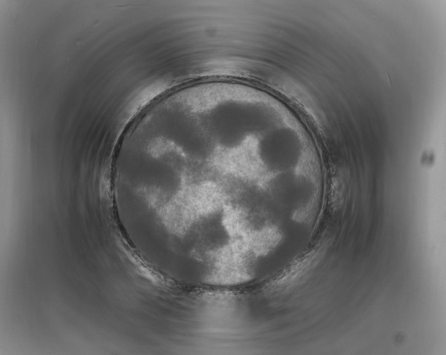 X0000097620882200803071508