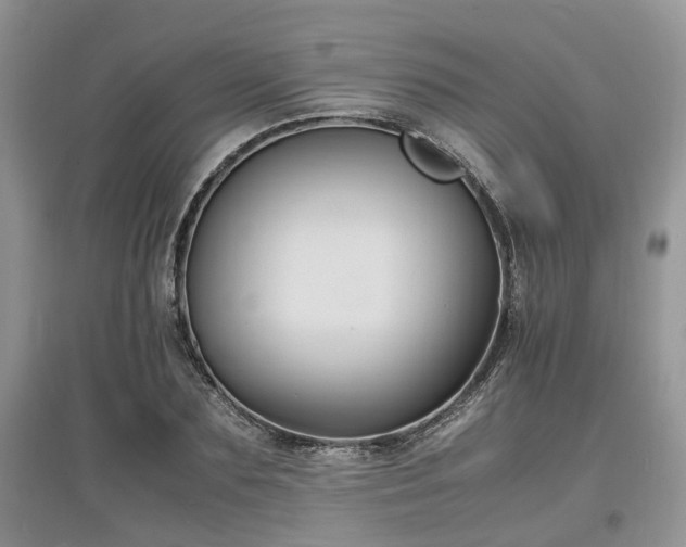 X0000097620883200803071508