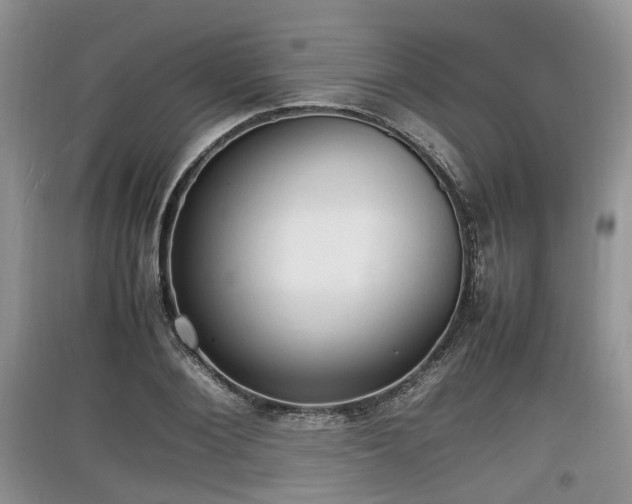 X0000097620884200803071508