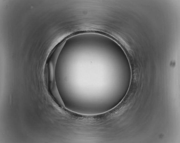 X0000097620885200803071508