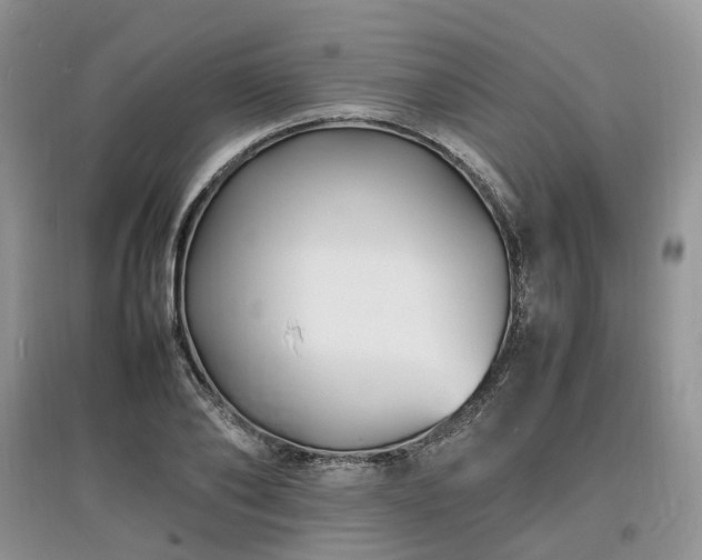 X0000097620886200803071508