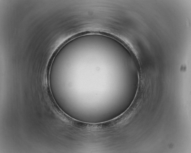 X0000097620887200803071508