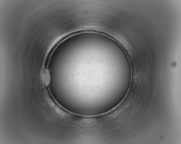 X0000097620888200803071508