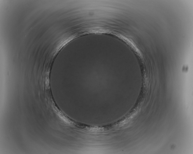 X0000097620889200803071508