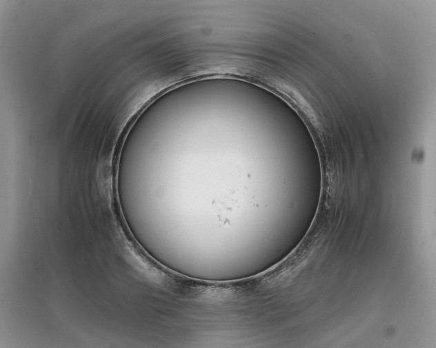 X0000097620890200803071508