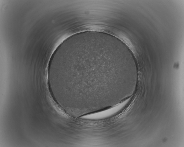 X0000097620891200803071508