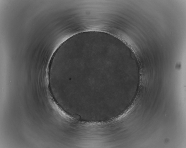 X0000097620892200803071508
